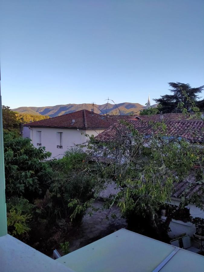 Le Citronnier Apartment Lamalou-les-Bains Bagian luar foto